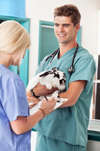 Veterinary professionals, a male vet holding a dog and a female assistant, interacting in a clinic setting